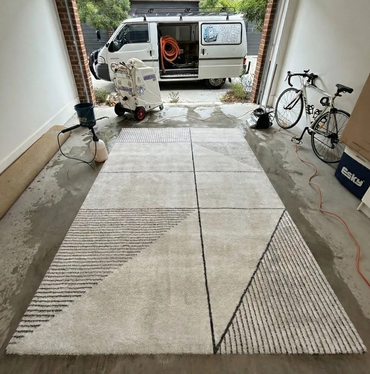 The same patterned rug after cleaning