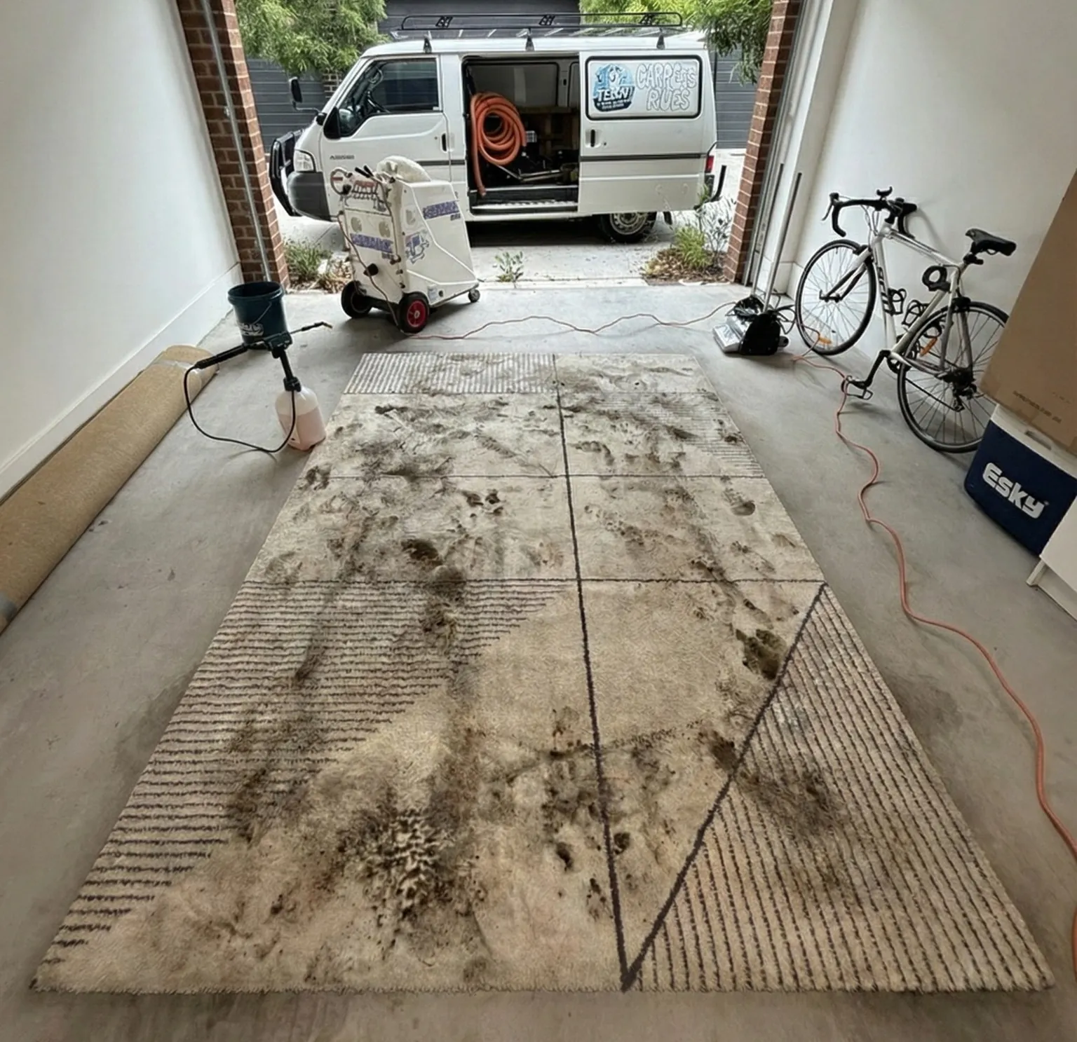 Stained patterned rug before cleaning